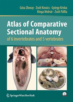 Seller image for Atlas of Comparative Sectional Anatomy of 6 invertebrates and 5 vertebrates for sale by moluna