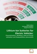 Bild des Verkufers fr Lithium-Ion batteries for Electric Vehicles: zum Verkauf von moluna