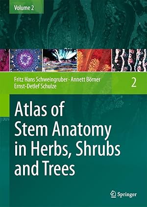 Bild des Verkufers fr Atlas of Stem Anatomy in Herbs, Shrubs and Trees zum Verkauf von moluna