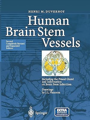 Bild des Verkufers fr Human Brain Stem Vessels zum Verkauf von moluna