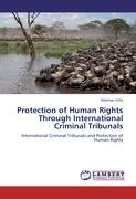 Bild des Verkufers fr Protection of Human Rights Through International Criminal Tribunals zum Verkauf von moluna