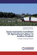 Seller image for Socio-economic Condition Of Agricultural Labour In Andhra Pradesh for sale by moluna