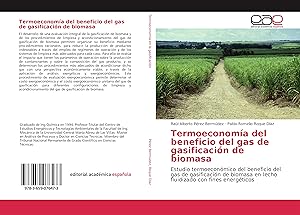 Bild des Verkufers fr Termoeconoma del beneficio del gas de gasificacin de biomasa zum Verkauf von moluna