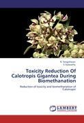 Image du vendeur pour Toxicity Reduction Of Calotropis Gigantea During Biomethanation mis en vente par moluna