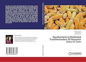 Seller image for Agrobacterium-Mediated Transformation Of Reporter Gene In Corn for sale by moluna