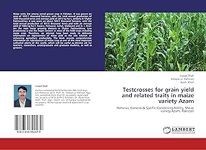Immagine del venditore per Testcrosses for grain yield and related traits in maize variety Azam venduto da moluna