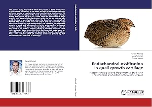 Seller image for Endochondral ossification in quail growth cartilage for sale by moluna