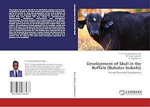 Seller image for Development of Skull in the Buffalo (Bubalus bubalis) for sale by moluna