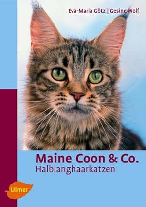 Bild des Verkufers fr Maine Coon & Co zum Verkauf von moluna