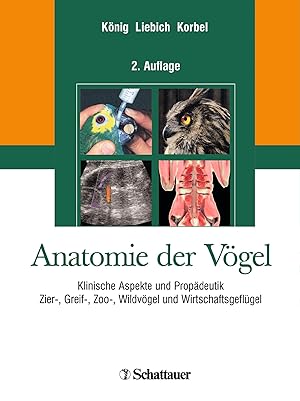 Bild des Verkufers fr Anatomie der Voegel zum Verkauf von moluna