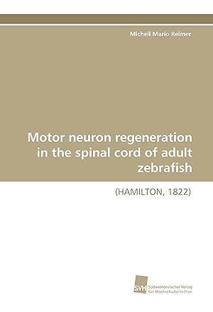 Bild des Verkufers fr Motor neuron regeneration in the spinal cord of adult zebrafish zum Verkauf von moluna