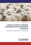 Seller image for Lesions of Skin of Sheep and Goats due to External Parasites for sale by moluna