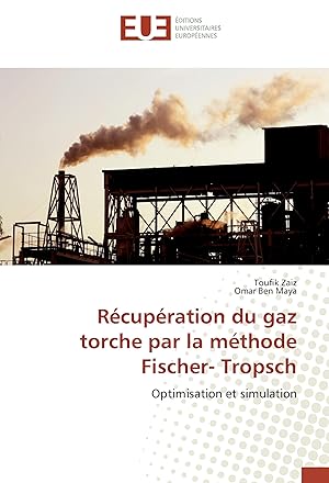 Seller image for Rcupration du gaz torche par la mthode Fischer- Tropsch for sale by moluna