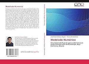 Seller image for Modelado Numrico for sale by moluna