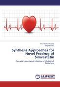 Seller image for Synthesis Approaches for Novel Prodrug of Simvastatin for sale by moluna