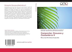 Bild des Verkufers fr Campeche: Desusos y Costumbres II zum Verkauf von moluna