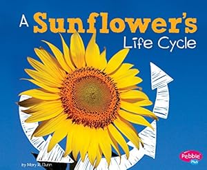 Imagen del vendedor de A Sunflower's Life Cycle (Explore Life Cycles) by Dunn, Mary R. [Paperback ] a la venta por booksXpress