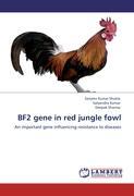 Seller image for BF2 gene in red jungle fowl for sale by moluna