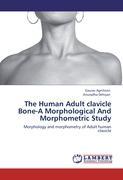 Imagen del vendedor de The Human Adult clavicle Bone-A Morphological And Morphometric Study a la venta por moluna