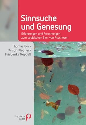 Seller image for Sinnsuche und Genesung for sale by moluna