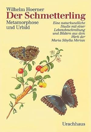 Immagine del venditore per Der Schmetterling venduto da moluna