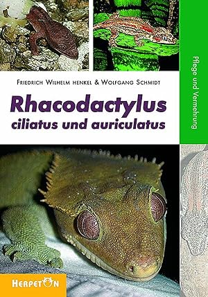Bild des Verkufers fr Rhacodactylus ciliatus und auriculatus zum Verkauf von moluna