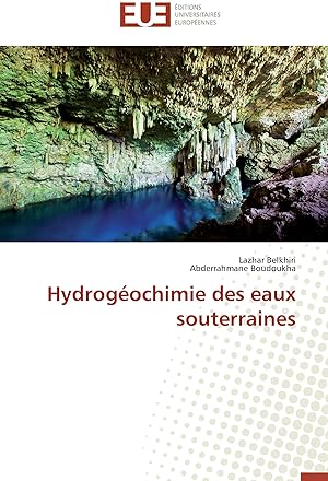Seller image for Hydrogochimie des eaux souterraines for sale by moluna