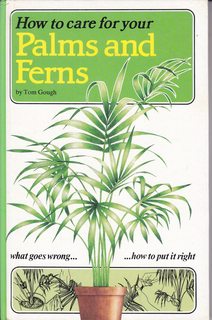 How to Care for Your Palms and Ferns