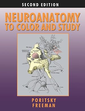 Bild des Verkufers fr Neuroanatomy to Color and Study zum Verkauf von moluna