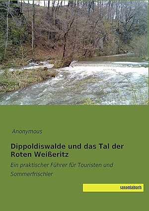 Imagen del vendedor de Dippoldiswalde und das Tal der Roten Weisseritz a la venta por moluna