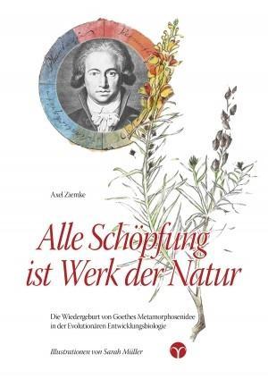 Seller image for Alle Schoepfung ist Werk der Natur for sale by moluna