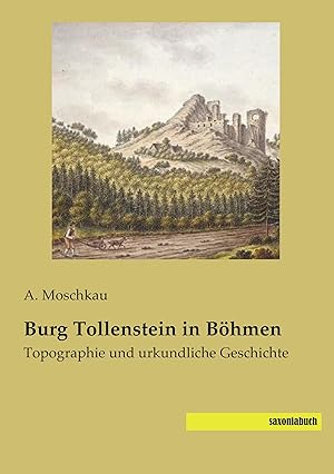Bild des Verkufers fr Burg Tollenstein in Boehmen zum Verkauf von moluna