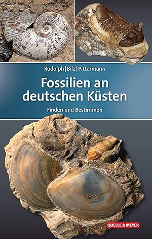 Bild des Verkufers fr Fossilien an deutschen Ksten zum Verkauf von moluna