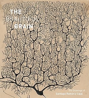 Imagen del vendedor de The Beautiful Brain a la venta por moluna