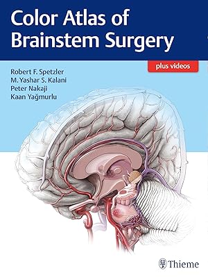 Bild des Verkufers fr Color Atlas of Brainstem Surgery zum Verkauf von moluna