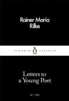 Seller image for Letters to a Young Poet for sale by moluna