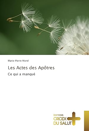 Bild des Verkufers fr Les Actes des Aptres zum Verkauf von moluna