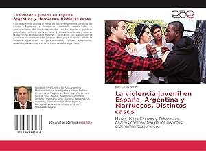 Bild des Verkufers fr La violencia juvenil en Espaa, Argentina y Marruecos. Distintos casos zum Verkauf von moluna