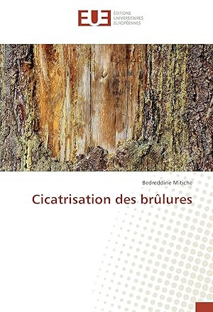 Seller image for Cicatrisation des brlures for sale by moluna