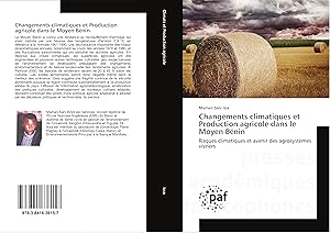 Seller image for Changements climatiques et Production agricole dans le Moyen Bnin for sale by moluna