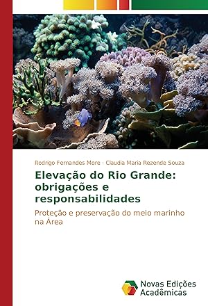 Seller image for Elevao do Rio Grande: obrigaes e responsabilidades for sale by moluna