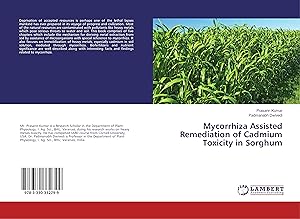 Seller image for Mycorrhiza Assisted Remediation of Cadmium Toxicity in Sorghum for sale by moluna