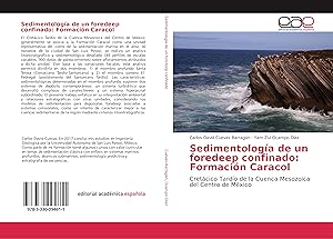Seller image for Sedimentologa de un foredeep confinado: Formacin Caracol for sale by moluna