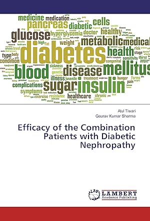 Bild des Verkufers fr Efficacy of the Combination Patients with Diabetic Nephropathy zum Verkauf von moluna