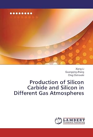 Seller image for Production of Silicon Carbide and Silicon in Different Gas Atmospheres for sale by moluna
