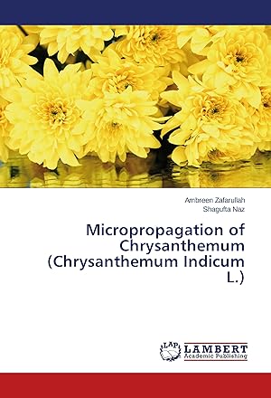 Imagen del vendedor de Micropropagation of Chrysanthemum (Chrysanthemum Indicum L.) a la venta por moluna