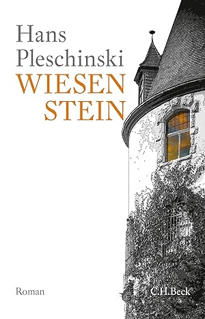 Seller image for Wiesenstein for sale by moluna