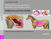 Bild des Verkufers fr Bild-Text-Atlas zur Anatomie und Klinik des Pferdes. Bd.2 zum Verkauf von moluna