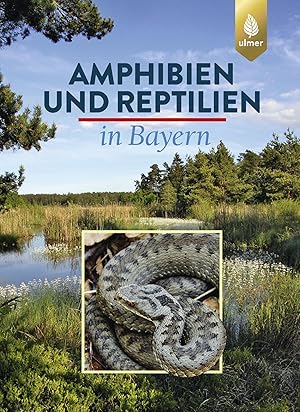 Image du vendeur pour Amphibien und Reptilien in Bayern mis en vente par moluna