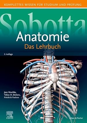 Immagine del venditore per Sobotta Lehrbuch Anatomie venduto da moluna